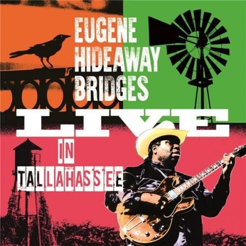 Live In Tallahassee