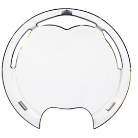 Protection Ecran Leonardo