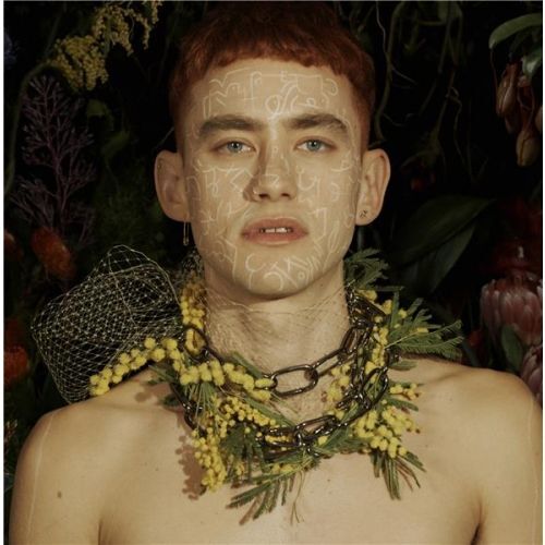 Palo Santo Edition Deluxe