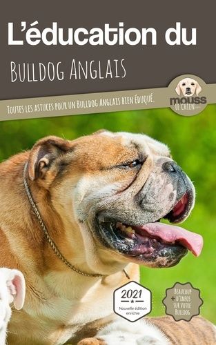 L'éducation Du Bulldog Anglais - Toutes Les Astuces Pour Un Bulldog Anglais Bien Éduqué
