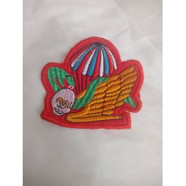 Ecusson Parachutiste Us Army