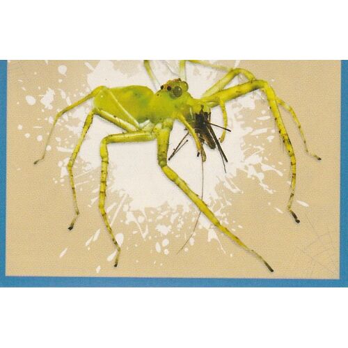 N°3 - Stickers Image Panini Spider Power - Spiderman - Marvel