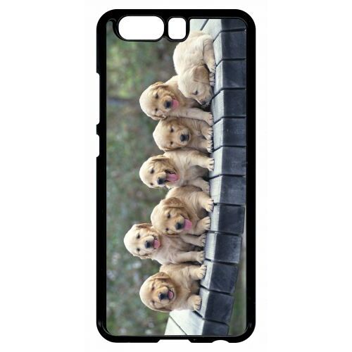 Coque Huawei Ascend P10 - Chiots Golden Retriever - Noir