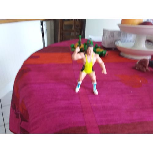 Figurine Catcheur