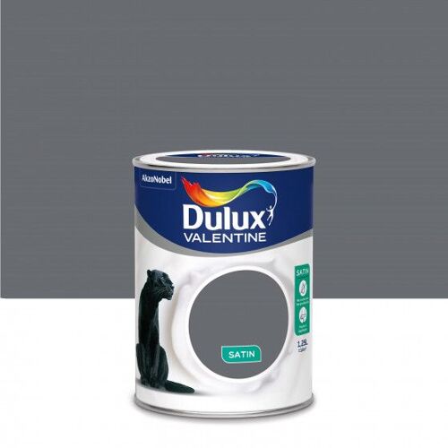 Peinture Crème De Couleur Anthracite Finition : Satin | 1,25 L