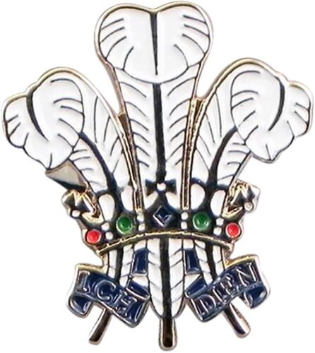 Émaillé Prince De Galles Plumes Épinglette Badge - Xjkb12-11