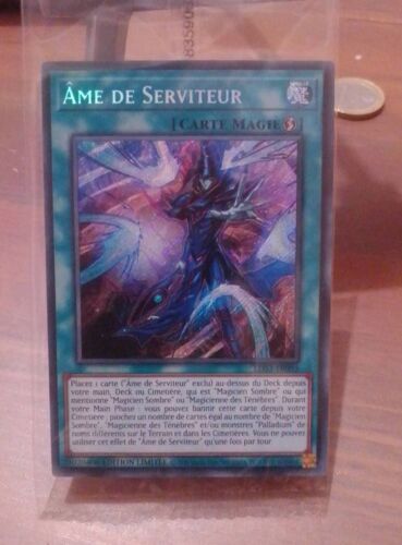 Âme De Serviteur Lds3-Fr095 Secret Rare