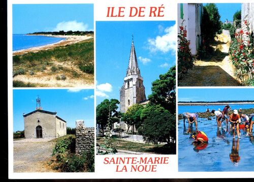 Carte Postale De L' Ile De Ré (Charente Maritime) Sainte-Marie De Ré, La Noue : 5 Vues (Réf.152)