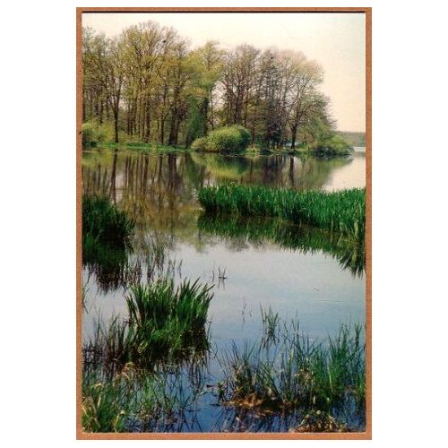 Carte Postale - Etang Des Landes