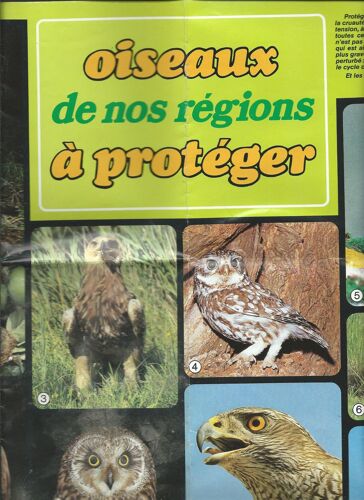 Oiseaux De Nos Régions A Protéger , Poster Offert Par Les Éditions François Beauval