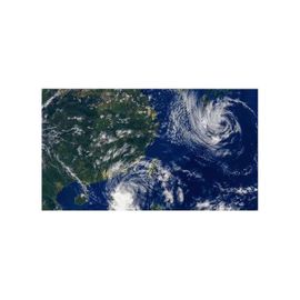 TV intélligente Display LG 55SVM5F-H