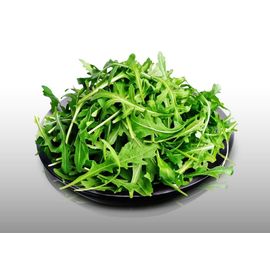 500 Graines À Semer - Le Grenier D'abondance - Roquette - Eruca Sativa