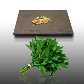 50 Graines D'aromatiques À Semer - Le Grenier D'abondance - Ache De Montagne - Levisticum Officinale