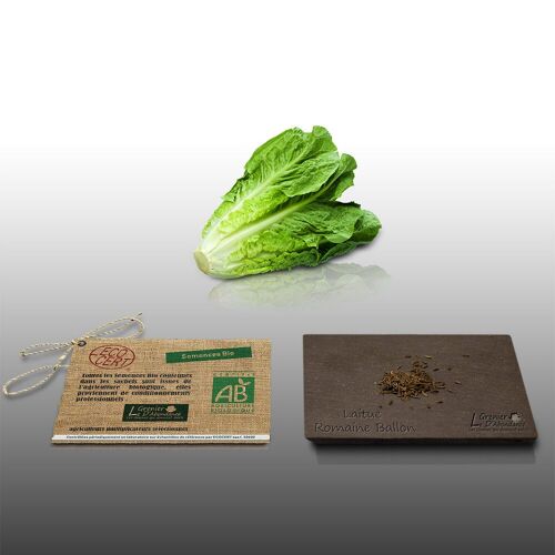 250 Graines Bio À Semer - Le Grenier D'abondance - Laitue Romaine Bio Ballon - Certifié Ab - Lactuca