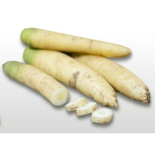 500 Graines À Semer - Le Grenier D'abondance - Carotte Blanche À Collet Vert - Daucus Carota