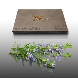 50 Graines Aromatiques À Semer - Le Grenier D'abondance - Romarin - Rosmarinus Officinalis