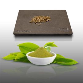 100 Graines Aromatiques À Semer - Le Grenier D'abondance - Anis Vert - Pimpinella Anisum