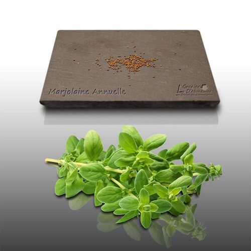 100 Graines Aromatiques À Semer - Le Grenier D'abondance - Marjolaine Annuelle - Origanum Majorana