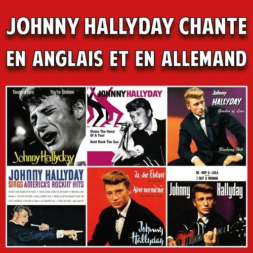 Johnny Hallyday Chante En Anglais Et En Allemand