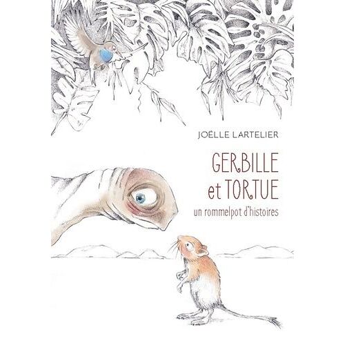 Gerbille Et Tortue