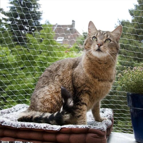 Filet Anti-Oiseau Pour Étang, Filet De Protection Pour Animaux De Compagnie, Chat, Chien, Clôture En Maille, Fruits, Légumes, Fleur, Jardin, Maille De Protection Antiparasitaire
