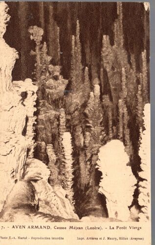 Carte Postale Du Causse Méjean (Lozère) Aven Armand : La Forêt Vierge (Réf.7)