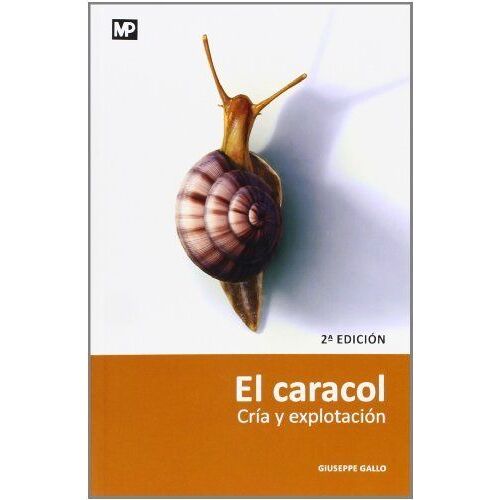 El Caracol