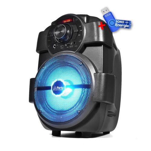 Enceinte portable 6,5"/16cm - 180W avec USB/BLUETOOTH/FM - Party Light & Sound HANDY180+clé USB 32Go