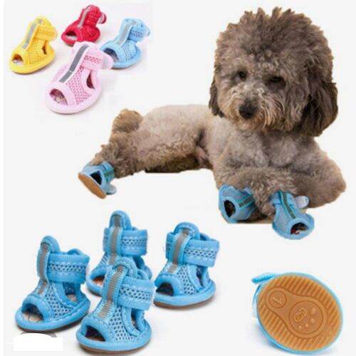 Chaussures D'été Pour Chiens En Maille Respirante, Chaussures Pour Chiens De Compagnie Pour Petits Chiens Chats Mignons Antidérapants Pour Chihuahua Carlin Sandales Chaussures Couleurs Acidulées