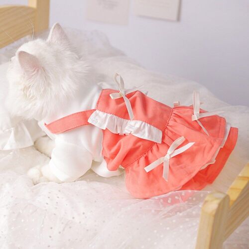 Jupe Pour Chaton, Nouvelle Collection 2022, Vêtements Tendance, Chaton, Dégradé D'argent, Anti-Chute, Jolie Princesse, Noël
