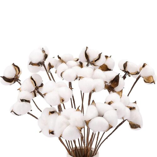 20pcs tiges de coton, fleurs de coton, tiges de coton artificielles Fausses décorations de ferme pour Vase Hom