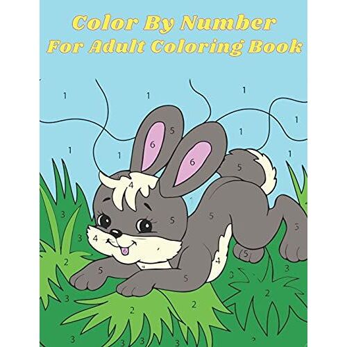 Color By Number For Adult Coloring Book: An Adult Coloring Book With Fun, Easy, And Relaxing Coloring Pages