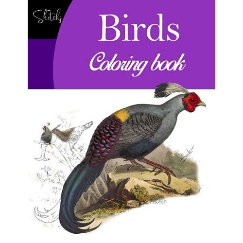 Birds Sketches Coloring Book: This Coloring Book For Adult Relaxation, Easy Coloring Page