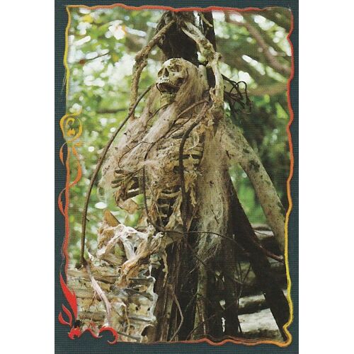 N°138 - Stickers Image Panini Pirates Des Caraibes 4 - La Fontaine De Jouvence