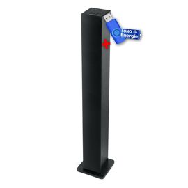 Colonne HIFI, Muse M-1050 BT Enceinte d'intérieur Bluetooth USB 20W Noir+clé USB 32Go