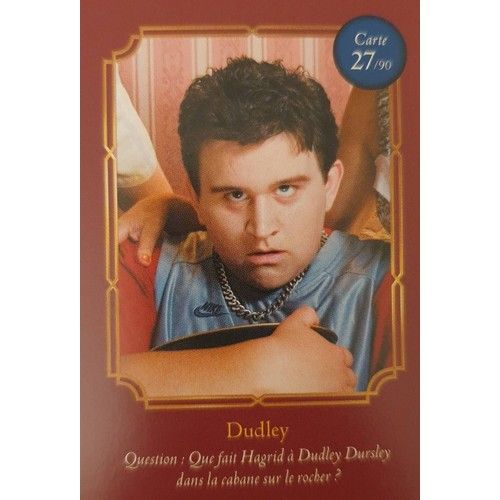 Carte Auchan Harry Potter 27