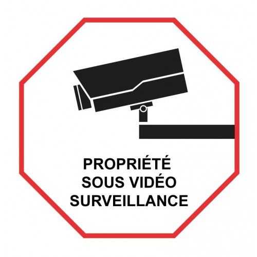 Autocollant Propriété Sous Vidéo Surveillance Logo9 Alarme - 5 Cm