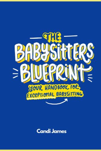 The Babysitters Blueprint: Your Handbook For Exceptional Babysitting
