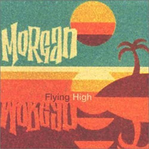 Flying High [Cd Single] [12" Vinyl]