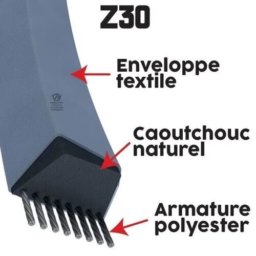 Courroie tondeuse Z30 trapézoïdale 10 mm x 800 mm