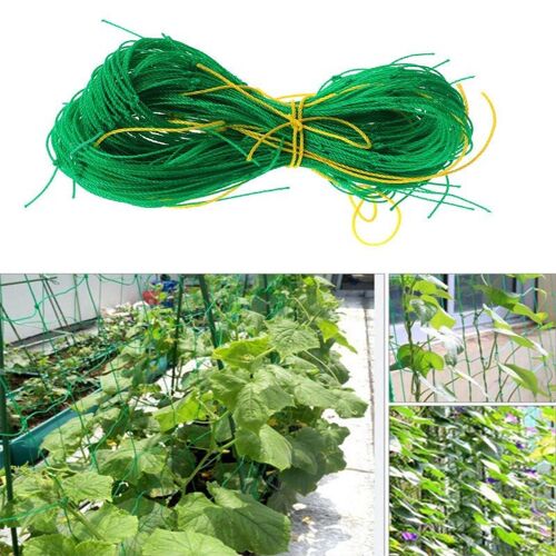 Filet En Treillis Robuste Pour Plantes Grimpantes, Support Solide Pour La Protection Des Arbres Fruitiers