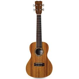 Cordoba 15cm Guitares Classique En Acajou Marron