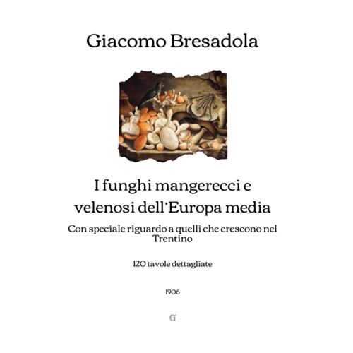 I Funghi Mangerecci E Velenosi Delleuropa Media: Con Speciale Riguardo A Quelli Che Crescono Nel Trentino (120 Tavole Dettagliate) - 1906