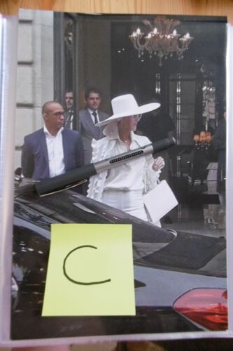 Céline Dion Photo Grand Format En 20x30cm.