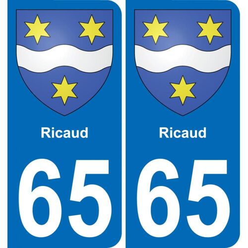 65 Ricaud Autocollant Sticker Plaque Immatriculation Auto Ville - Arrondis
