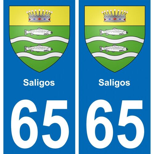 65 Saligos Autocollant Sticker Plaque Immatriculation Auto Ville - Droits