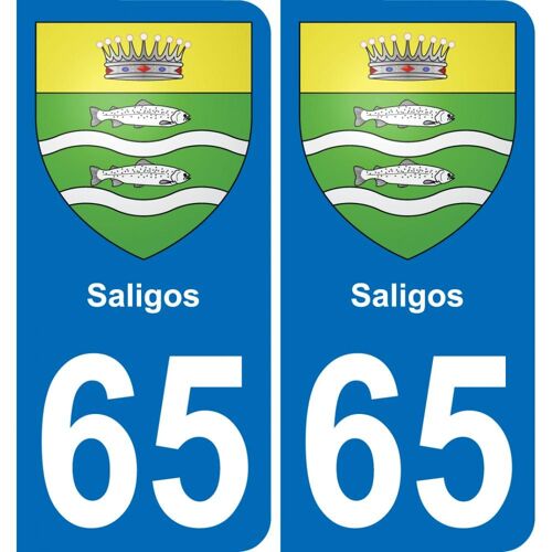65 Saligos Autocollant Sticker Plaque Immatriculation Auto Ville - Arrondis