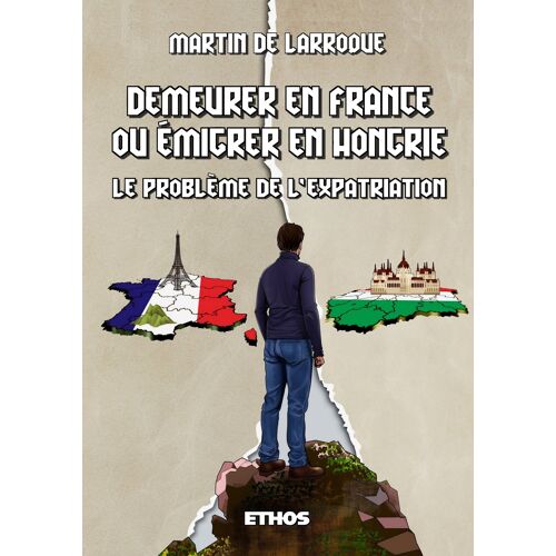 Demeurer En France Ou Émigrer En Hongrie Le Problème De L'expatriation