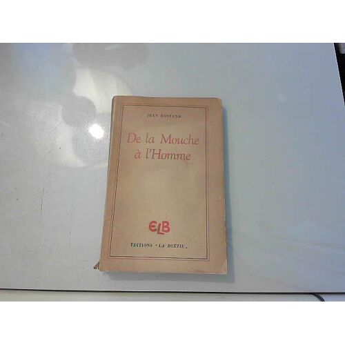 De La Mouche À L'homme