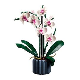 Sans Box1 - Bouquet De Bonsaï En Forme D'arbre Et De Fleurs, Briques De Construction Perpétuelles, Modèle De Décoration De Maison, Plante En Pot, Cadeau Pour Enfant, 10281